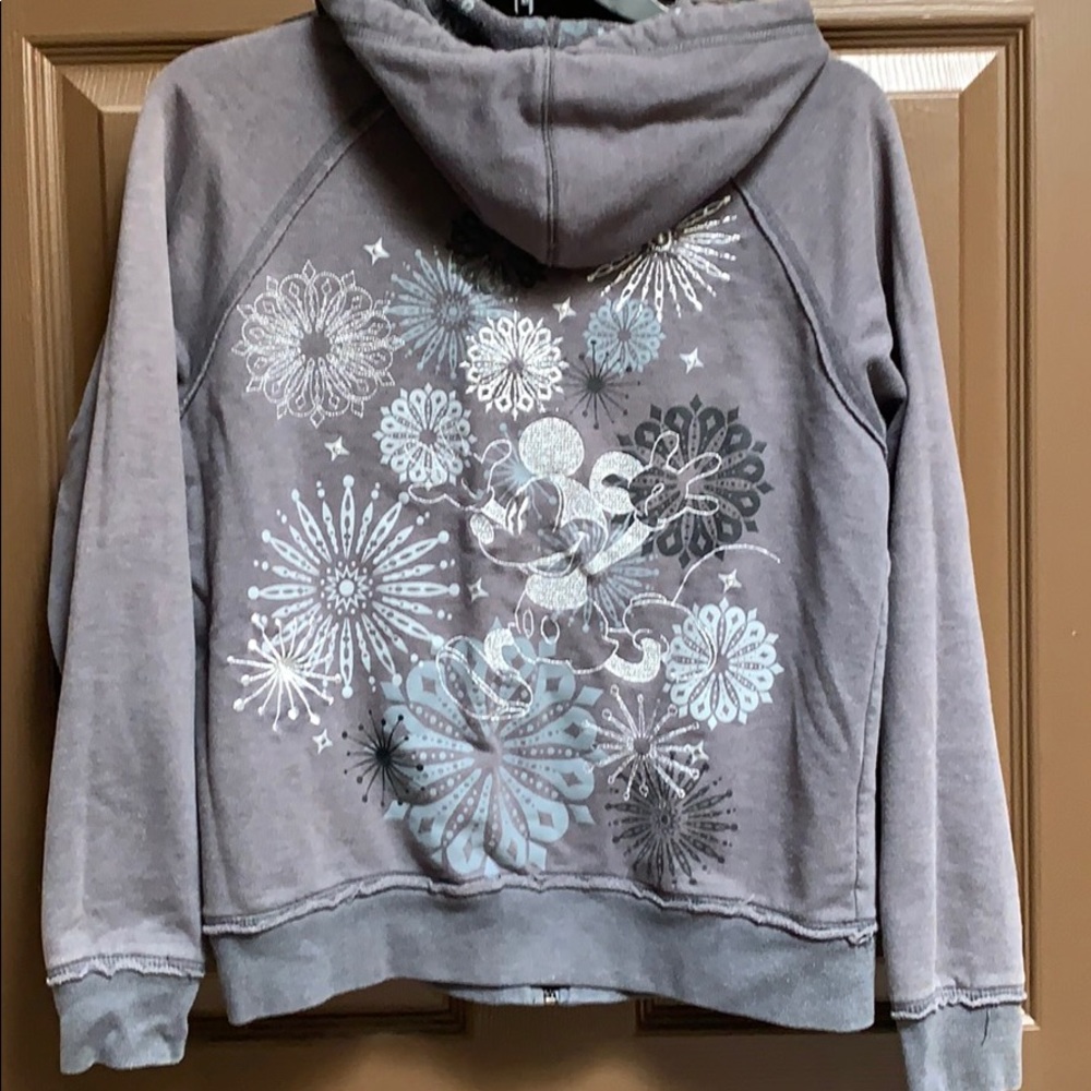 Disneyland sweater with hoodie - Picture 2 of 5